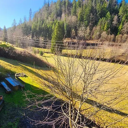 Apartamento Wehra In Todtmoos